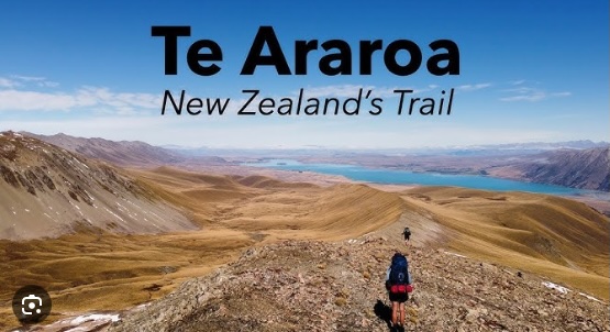 Day -44: Why Te Araora?